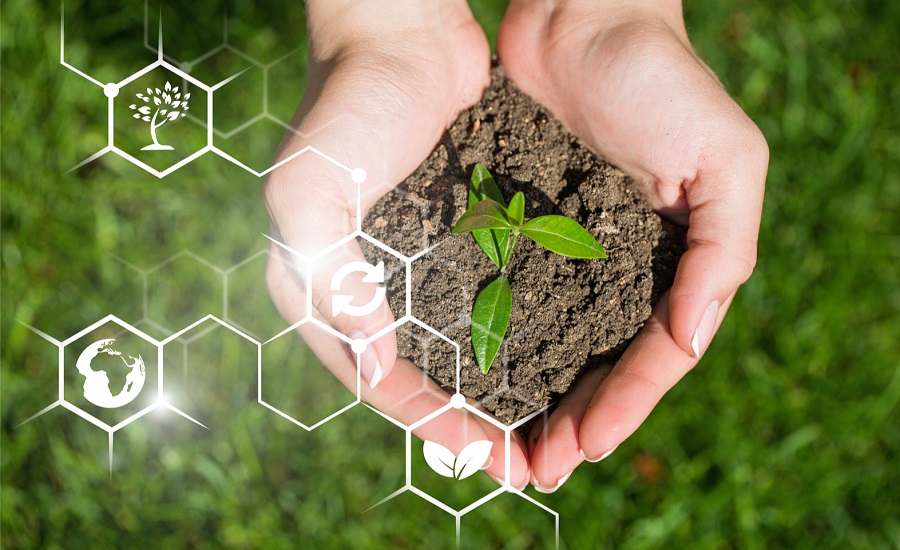 Biostimulants Market