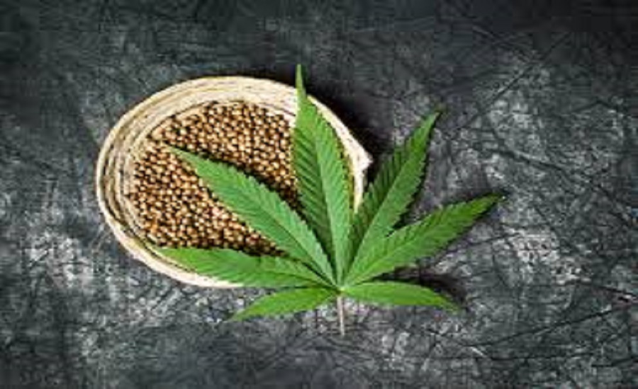 Industrial Hemp Market