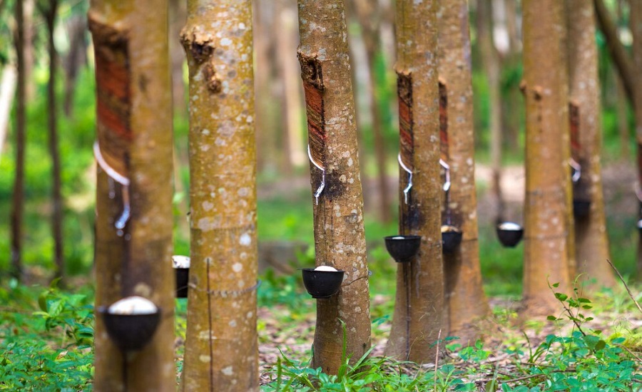 Rubber Process Oil Market