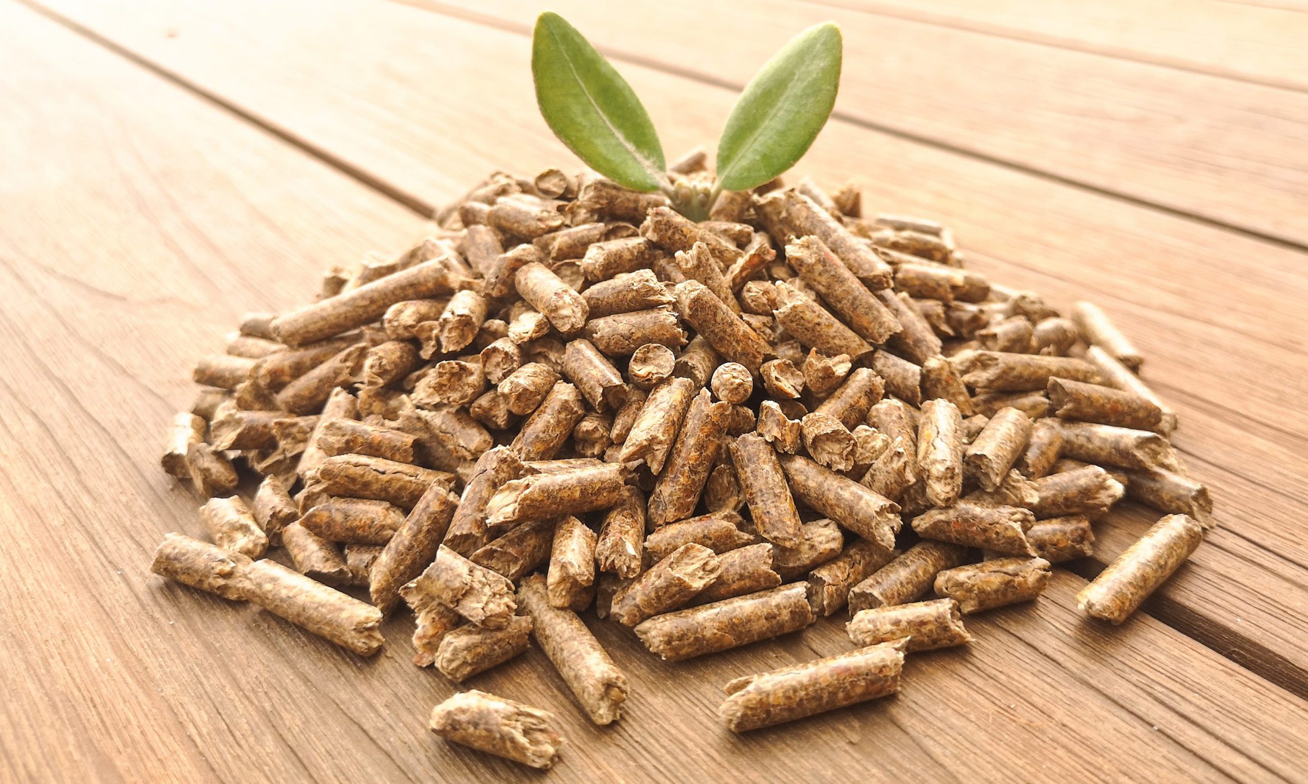 Wood Pellets Market