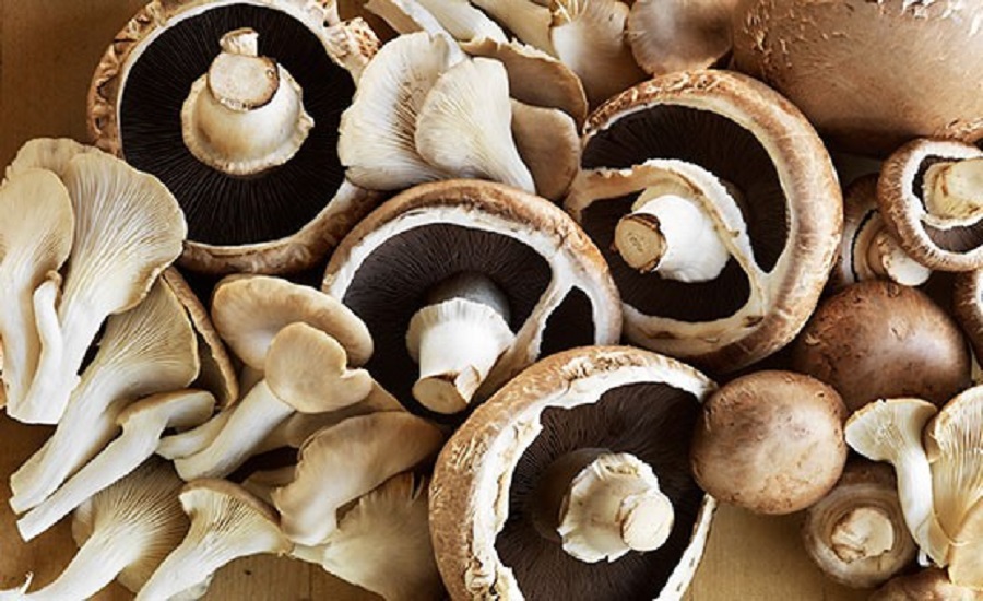 Mushroom Market