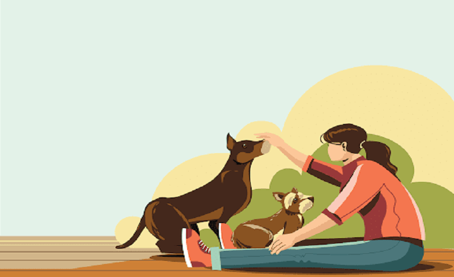 Pet Insurance Market