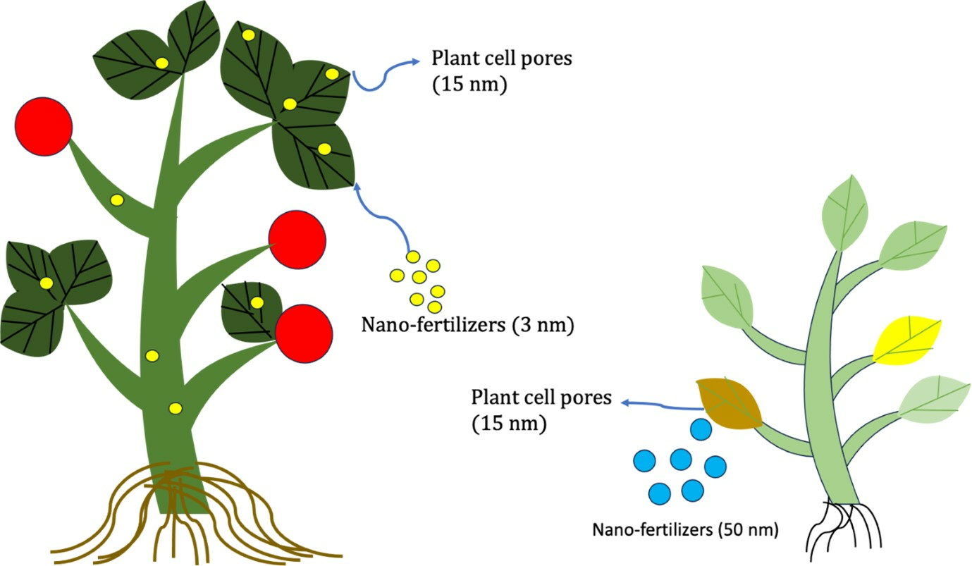 Nano Fertilizers Market