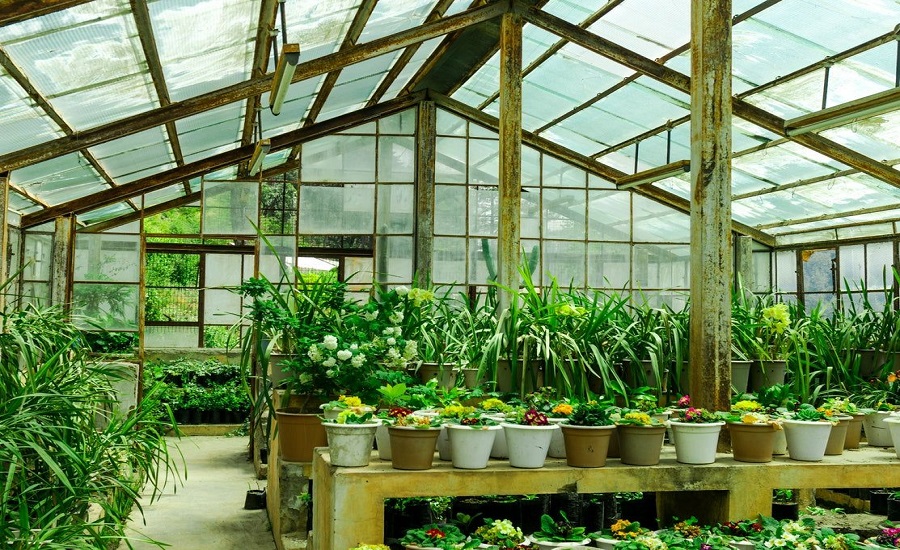 Greenhouse Market