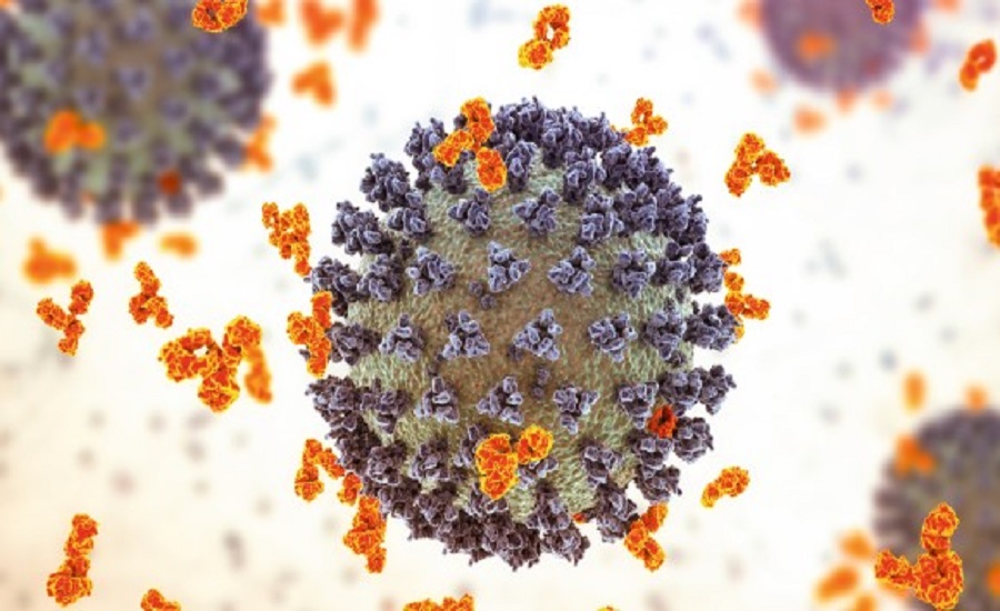 Immunology Market
